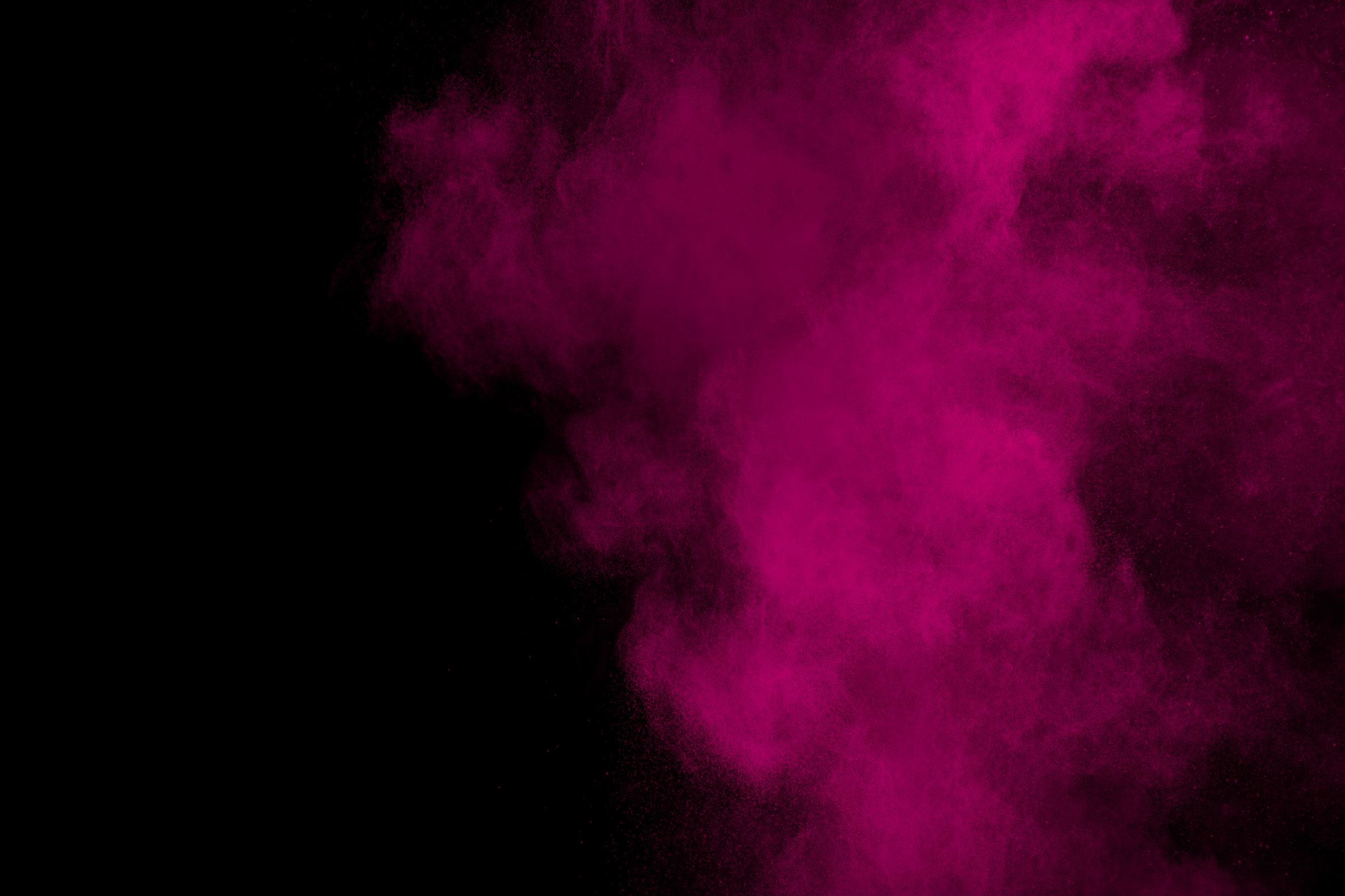 Pink powder explosion on black background.Pink dust splash cloud on dark background.